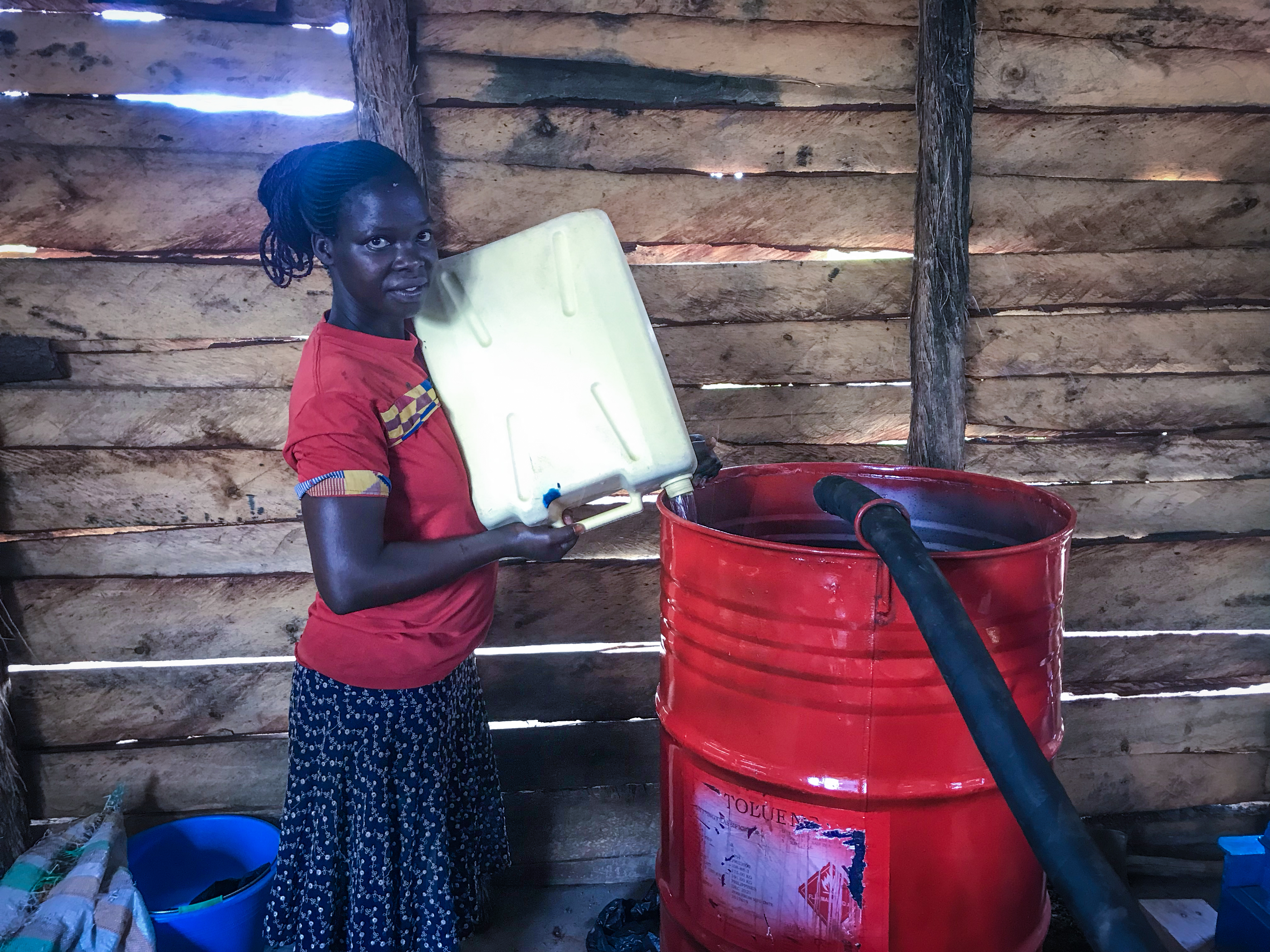 Community members watering seedlings together